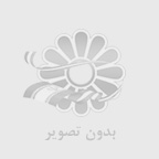 راهنماي جامع خريد ليوان كاغذي؛ از انتخاب ساختار تا چاپ اختصاصي